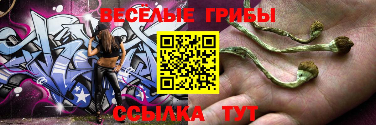 Псилоцибиновые грибы прущие грибы Чусовой