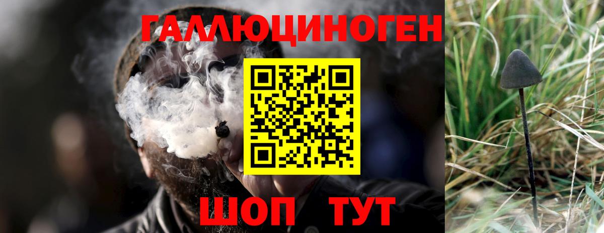 Чусовой  Псилоцибиновые грибы MAGIC MUSHROOMS  Галлюциногенные грибы Psilocybe  Вход с VPN 